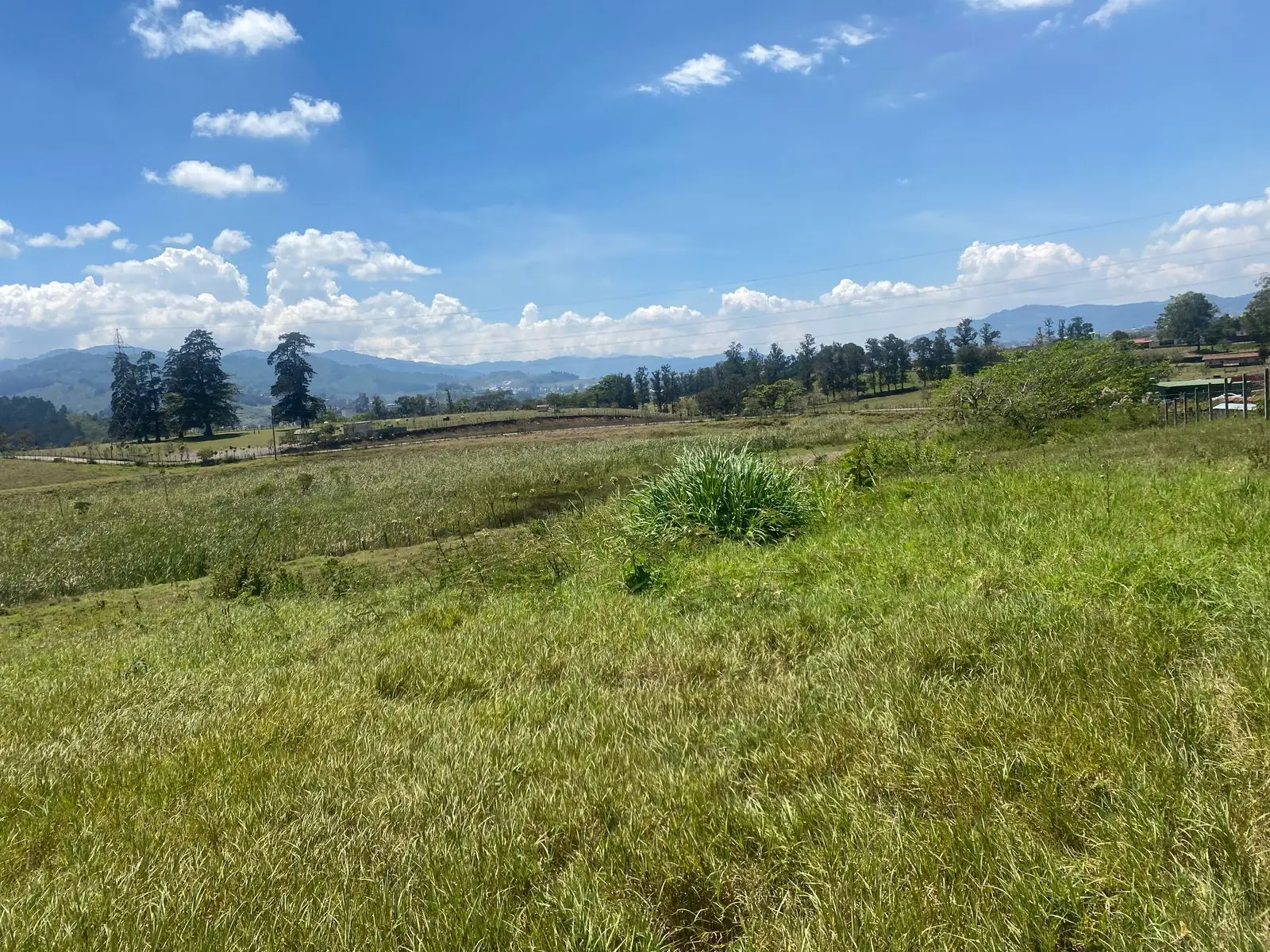 Vista aérea Finca Cármenes